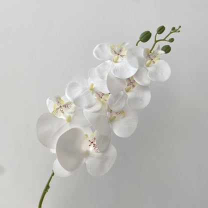 Elegant 3D Printed Orchid Flowers - Realistic 7-Head Faux Orchid Design for Luxurious Home Decor and Chic Living Room Accents