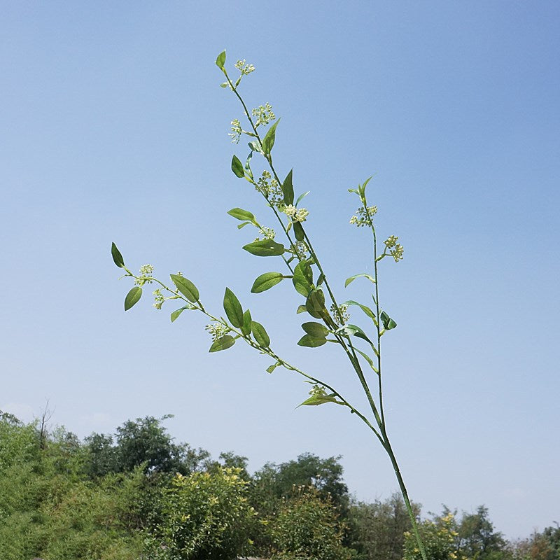 Lifelike Long-Lasting Greenery Stem with Multiple Branches - Perfect for Home Decor, Weddings, and Photography Set Design