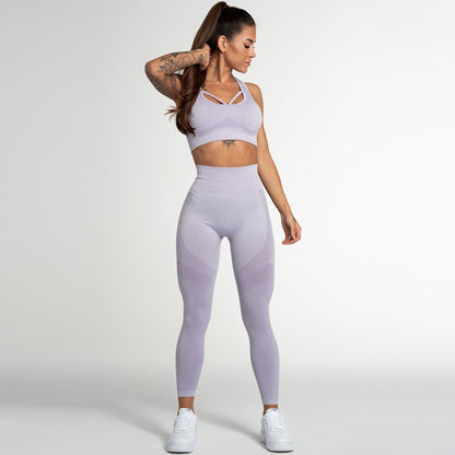 Seamless Sports Bra and High Waisted Butt Lifting Fitness Leggings Yoga Set for Women Comfort and Style for Your Workout