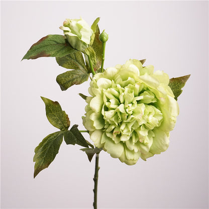 Lifelike Green Peony Artificial Flowers - Moisture-Enhancing Touch, Perfect for Indoor Dining Table Arrangements, Staging, and Photography Props