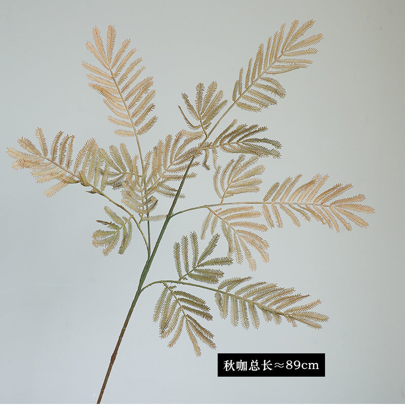 Single Stem Sensitive Fern - Charming Forest-Style Décor for Gardens, Balconies, and Office Spaces - Ideal for Plant Walls and Decorative Flower Boxes