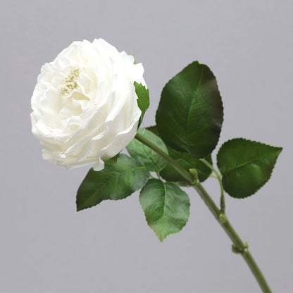 Single Stem Realistic Austin Rose - Luxurious Moisture-Infused Faux Flower for Stunning Home Decor, Perfect for Living Room Photography and Elegant Floral Arrangements