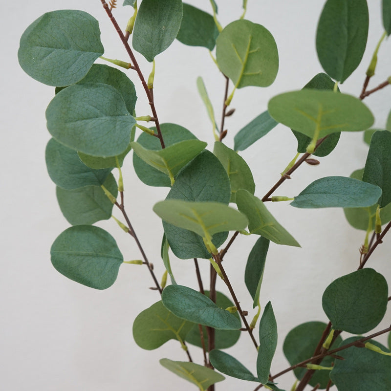 Nordic-Inspired Single Stem Faux Money Plant Eucalyptus - Perfect Decorative Accent for Café, Model Room, and Photography Props