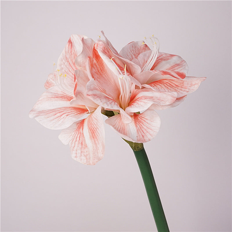 Lifelike Moisturizing Single Stem Amaryllis Flower - Ideal for Home Decor, Wedding Arrangements, and Photography Props