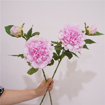 Soft Touch Moisturizing Peony and Peony Artificials - Elegant Indoor Home Decoration, Perfect Floral Arrangement for Stunning Photography Props