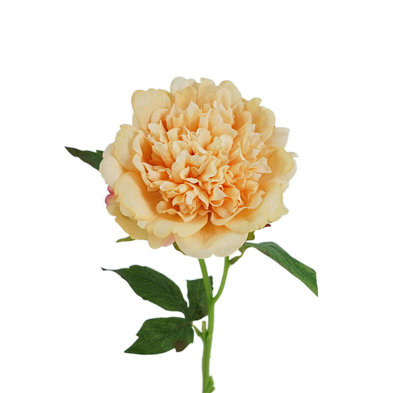 High-Quality Artificial Peony Flowers for Home Décor - Luxurious Touch for European Table Settings & Photography Props