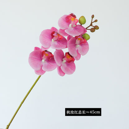 Luxurious Single Stem 5-Head Orchid Simulation Flower for Home and Hotel Decor – Perfect for Weddings, Events, and Stylish Interiors