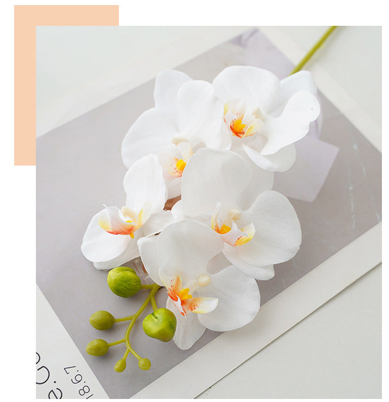 High-Quality Artificial Orchid Flowers - Luxurious 5-Head Faux Phalaenopsis Bloom for Elegant Home Decor and Stunning Photography Props