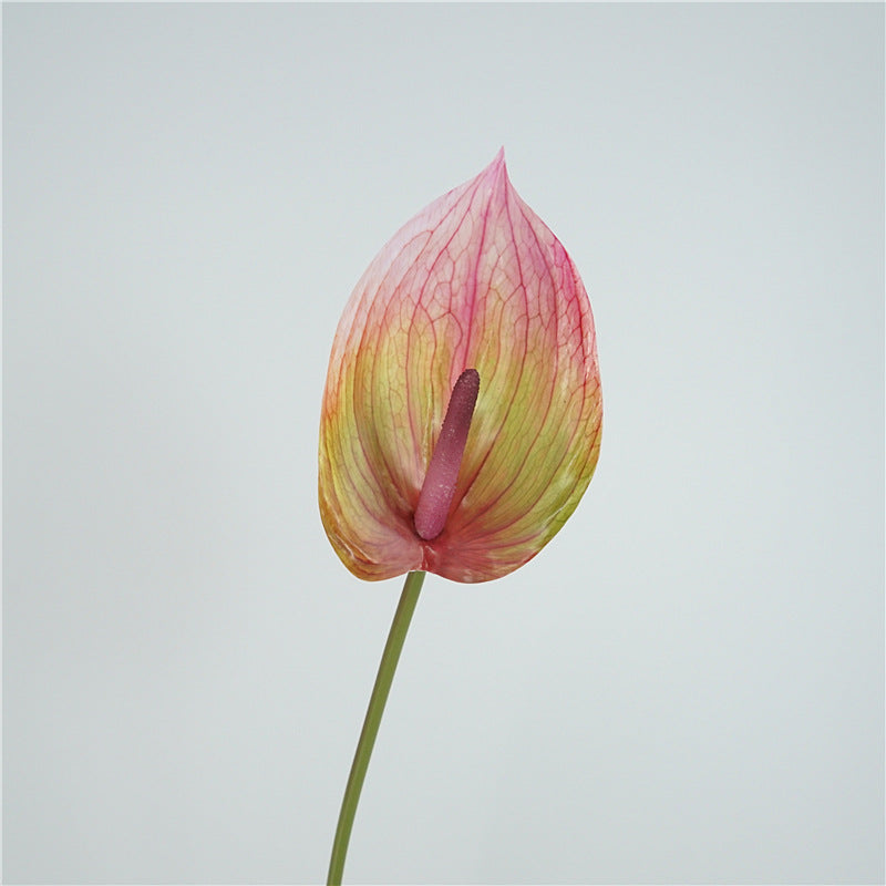 Stunning Faux Flowers: Zen Lotus & Red/White Heart Leaf Plants for Living Room Decoration, TV Cabinet Decor, Wedding Floral Accents, and Photography Props