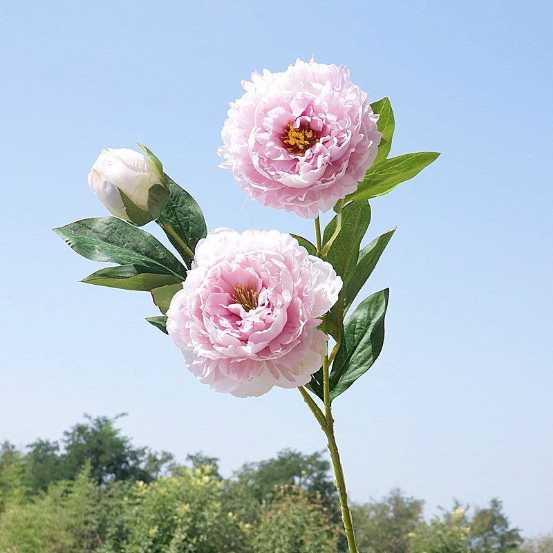 Realistic Artificial Peony Floral Arrangement - 3-Head Yang Fei Peony for Home Decor, Wedding Events, and Photography Styling