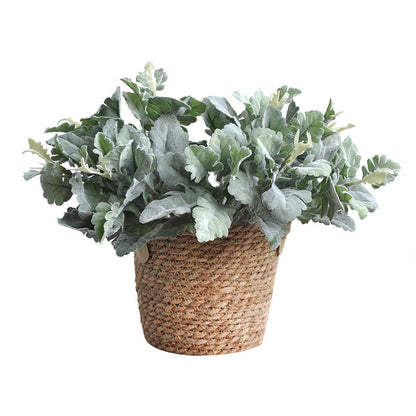 Lifelike Silverleaf Daisy Artificial Flowers – Stunning Silverleaf Foliage for Rustic Home Decor, Perfect for Floral Arrangements and Centerpieces