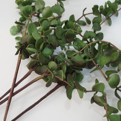 Lifelike Purslane Faux Plant for Home Decor - Charming Mini Potted Greenery with Silver Ear Leaves Perfect for Offices, Balconies, and Living Spaces