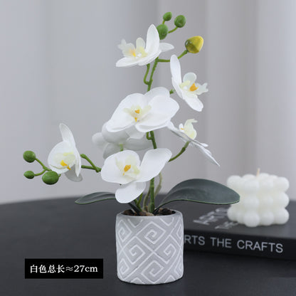 Charming Miniature Orchid Potted Plant - Realistic Plastic Flower Arrangement for Dining Table Decor | Perfect for Home and Office Aesthetics