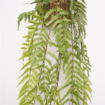 Lush Green Wall-Mounted Hanging Fern Plant - Beautiful Trailing Greenery for Home Decor, Indoor Plants, and Vertical Gardens