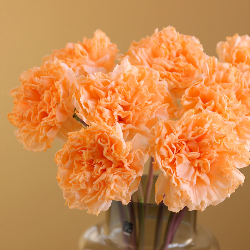 Realistic Carnation Silk Flowers - Perfect Mother's Day Gift - Beautiful Decorative Props for Photography & Living Room Decor - Vibrant Hydrangea Arrangement