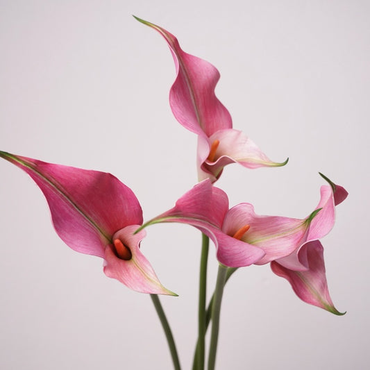 Realistic Calla Lily Artificial Flowers for Home Decor - Stunning Bridal Bouquets, Business Event Floral Styling, and Photography Props