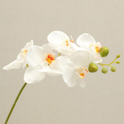 Luxurious Touch and Moisture-Lock Faux Orchid Flowers - Elegant Home Decor for Living Room & Dining Table Centerpieces