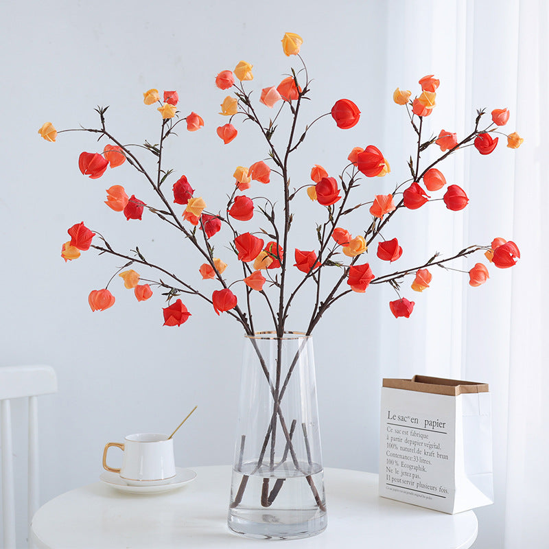 Realistic Decorative Lantern Berry – Perfect Autumn Floral Design Prop for Captivating Scene Decoration with Ground Cherry Accents