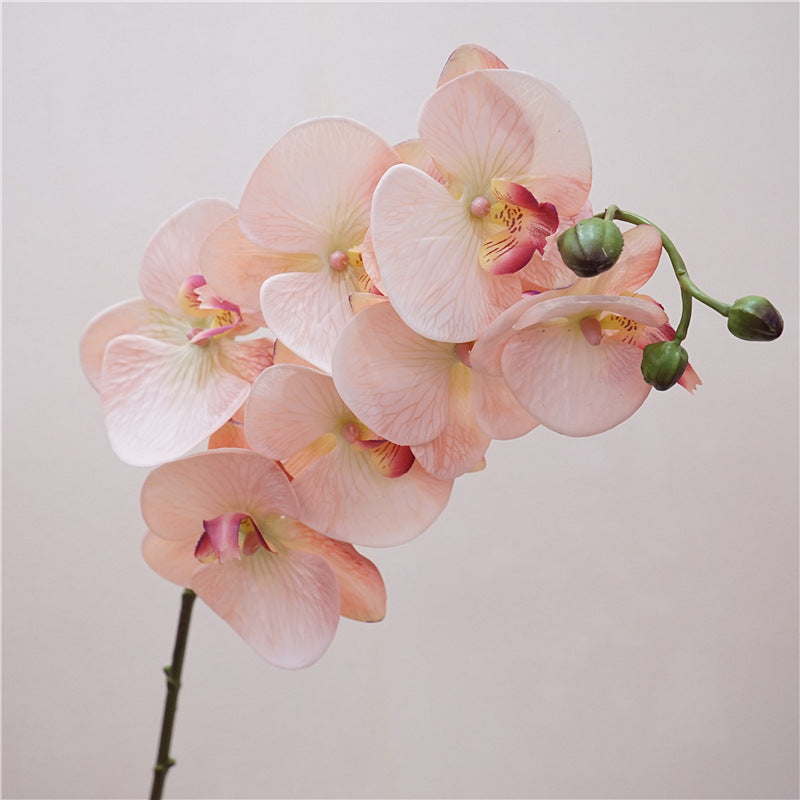 Realistic Touch Moisturizing Orchid - Elegant Faux Flower Arrangement for Living Room Decor, Perfect Photography Prop & Wedding Decoration