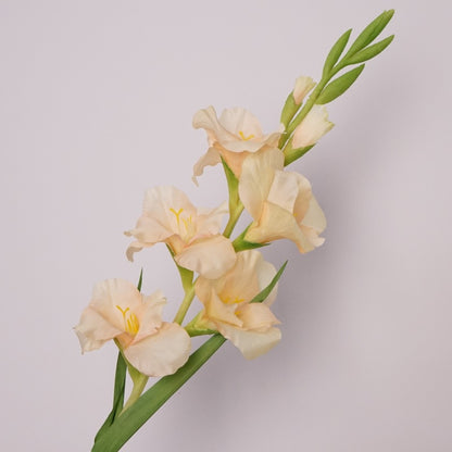 Stunning Single Stem Gladiolus Artificial Flower for Living Room Decor - Perfect for Coffee Tables, Dining Tables, Wedding Backdrops, and Photography Props