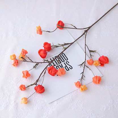 Realistic Decorative Lantern Berry – Perfect Autumn Floral Design Prop for Captivating Scene Decoration with Ground Cherry Accents