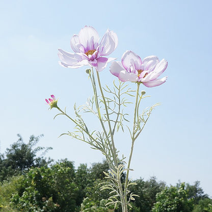 Stunning Artificial Queen Cosmos Flower - Single Stem Decorative Floral Arrangement for Home, Weddings, and Events - Perfect for Soft Decor and Stylish Embellishments