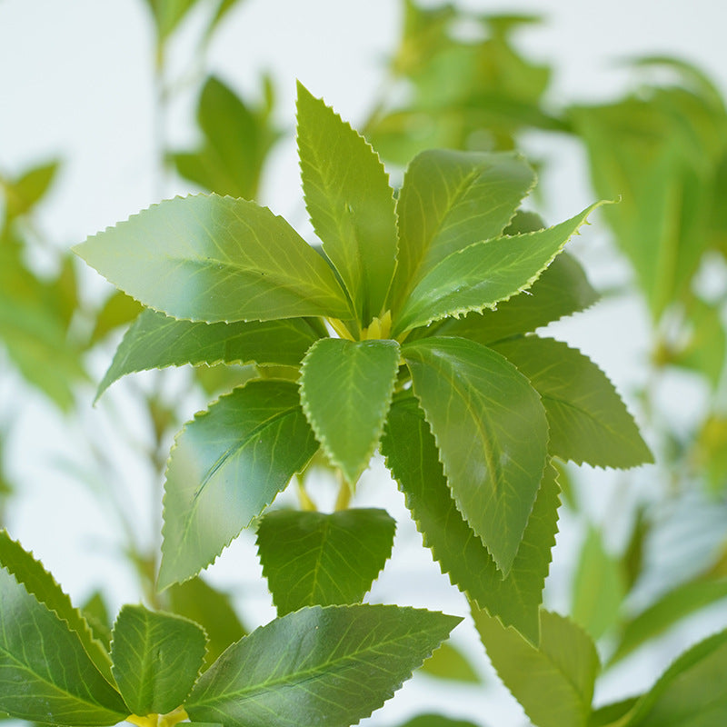 Authentic Realistic Touch Mimosa Leaves - Perfect for Home Decor, Photography Props, Wedding Decorations, and Artificial Floral Arrangements