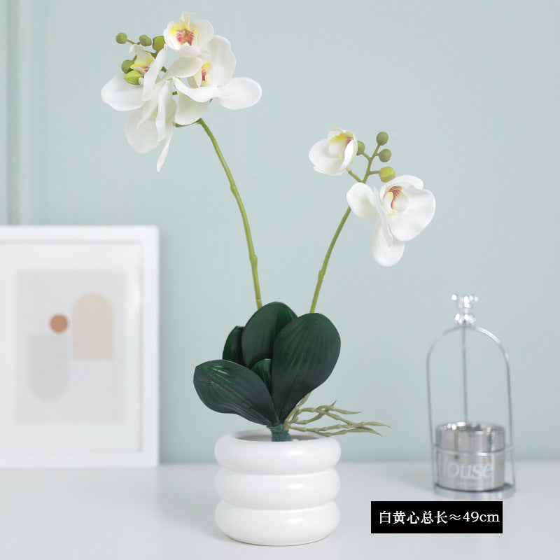 Lifelike Dual-Stem Orchid with Moisture-Infused Leaves –  Home and Hotel Decor for Elegant DIY Floral Arrangements