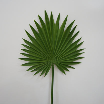 High-Quality Realistic Faux PU Palm Leaf Greenery for Wedding and Celebration Decoration | Perfect for Floral Arrangements and Event Styling