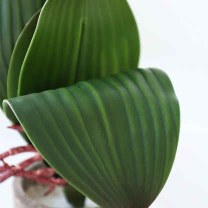 Lifelike Artificial Orchid Leaves - Soft Touch Greenery for Home Decor, Perfect for Small Potted Arrangements and Floral Displays