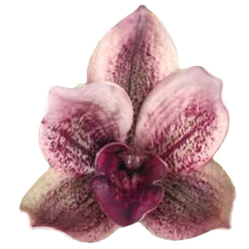 Realistic 3D Printed Silk Flower Orchid Head – Perfect for Wedding Decorations, Elegant Gifting, and Fashion Accessories