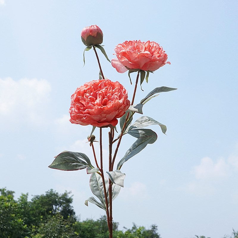 Elegant Single Stem Court-Style 3-Head Peony Faux Flowers with Burnt Edges - Perfect for Weddings, Photographic Studios, Home Decor, and Floral Arrangements