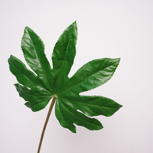 Realistic Touch Faux Spring Rain Leaves - Moisture-Resistant Octagonal Umbrella Plant Leaves - Perfect for Photography Props and Home Decor