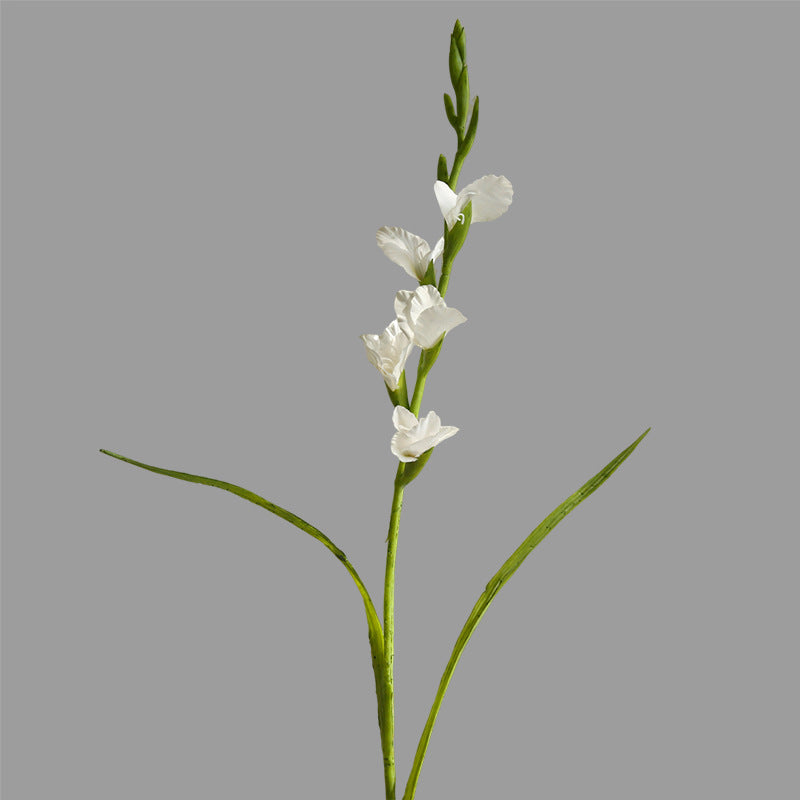 Realistic Single-Stem Gladiolus Flower - Modern Minimalist Decorative Bouquet for Home Decor, Photography Props, and Elegant Displays