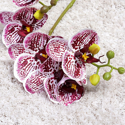 Lifelike Two-Branch Orchid Silk Flowers with Foliage | Perfect for Weddings, Photography, Home Decor & Shop Display | Stunning Simulation Flower Arrangement