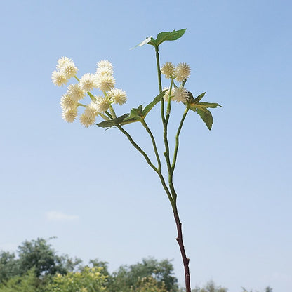 Elegant Artificial Castor Bean Floral Arrangement – Nordic Style Small Branch Multi-Head Decorative Faux Flowers for Home Decor and Wedding Celebrations