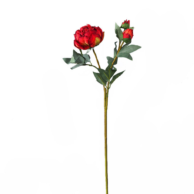 Realistic Faux Edge Peony Silk Flower - Single Stem with 3 Buds - Perfect for Weddings, Living Room Decor, and DIY Craft Projects