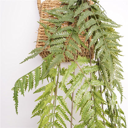 Lush Green Wall-Mounted Hanging Fern Plant - Beautiful Trailing Greenery for Home Decor, Indoor Plants, and Vertical Gardens