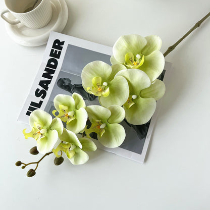 Realistic Touch 7-Head Green Orchid Artificial Flower - Stunning Faux Phalaenopsis for Home Decor and Weddings