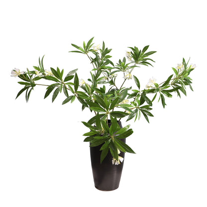 Lifelike Green Plant Wall with Water Stone Ficus –  Artificial Flowers for Wedding Decor, Elegant Zen Home Interior Design & Soft Furnishings