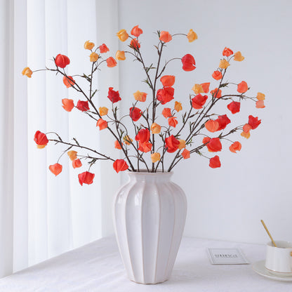 Realistic Decorative Lantern Berry – Perfect Autumn Floral Design Prop for Captivating Scene Decoration with Ground Cherry Accents