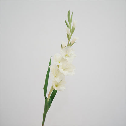 High-Quality European Style Realistic Single Stem Soft Silicone Gladiolus - Perfect for Home Decor, Weddings, and Event Decor