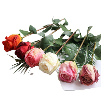 Stunning Burnt Edge Rose Bud Home Decor Piece – Perfect for Wedding Photography Props & Floral Arrangements