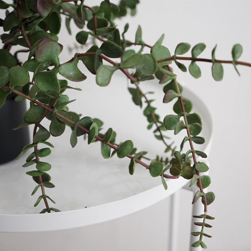 Lifelike Purslane Faux Plant for Home Decor - Charming Mini Potted Greenery with Silver Ear Leaves Perfect for Offices, Balconies, and Living Spaces