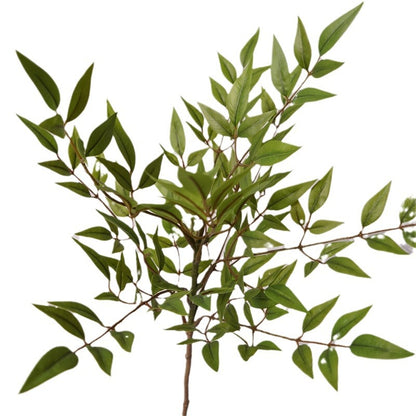 Lifelike Nandina Plant - Stylish High Branch Faux Greenery for Living Room Décor, Hydroponic Flower Arrangement, Nordic Home Accent for Hotels and Windows