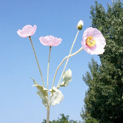 Lifelike 4-Head Faux Flower Mini Poppies – Perfect Decorative Floral Arrangement for Weddings, Home Decor, and Indoor Spaces