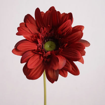 Luxurious Touch Moisturizing African Daisy Realistic Single Stem Faux Flower - Perfect for Home Décor, Soft Furnishings, and Photography