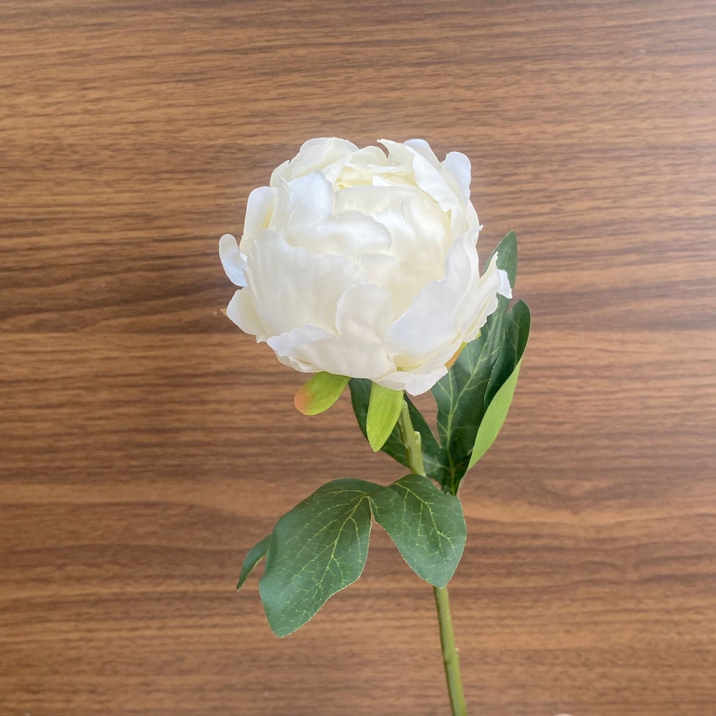 Charming Fresh Peony Bud Faux Flowers for Living Room & Dining Table Decor – Beautifully Crafted Floral Arrangements for Home, Photography, and Special Occasions