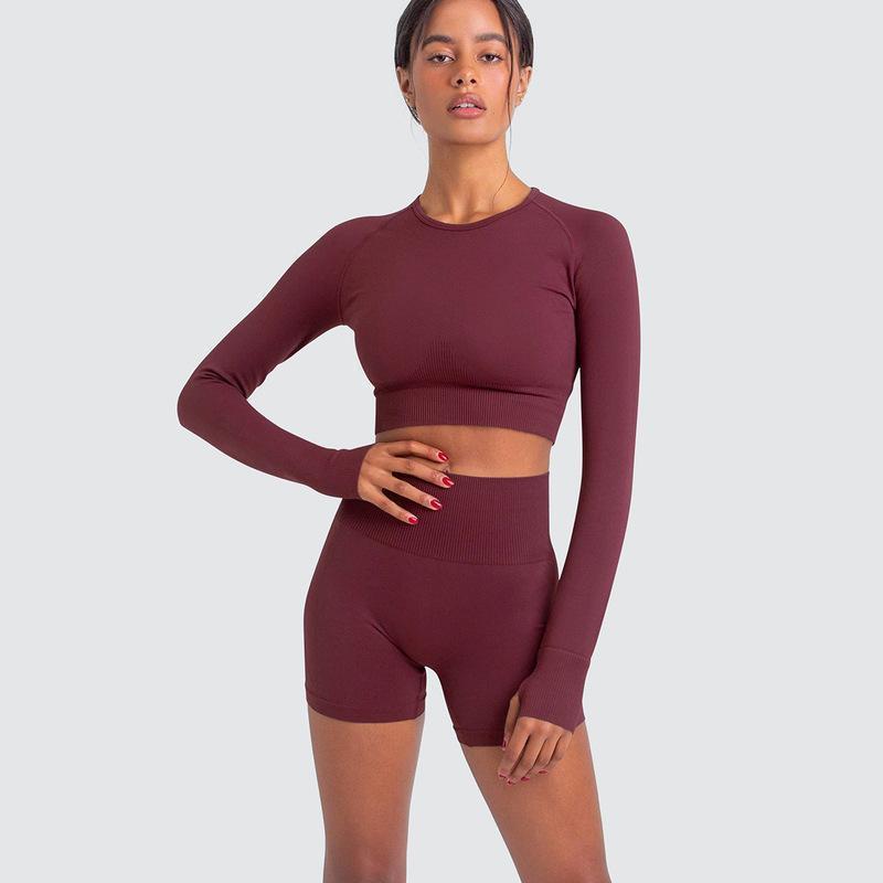 Seamless Knit Solid Color Long Sleeve Crop Top and Capri Leggings Set Women s Athleisure Outfit for Running Gym Workouts and Yoga