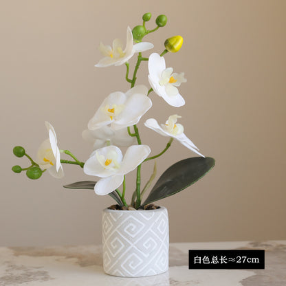 Lifelike Orchid Potted Plant for Home Decor & Wedding Photography – Perfect for Hotels, Desks, Living Rooms, and Outdoor Events